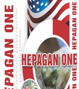 HEPAGAN ONE (CHAI XV)