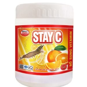 STAY C (HŨ 1KG)