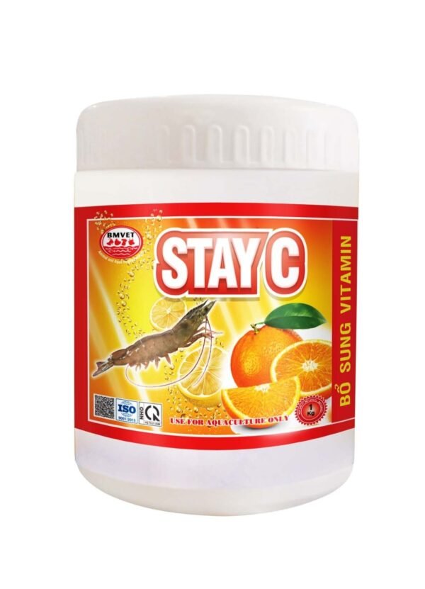 STAY C (HŨ 1KG)