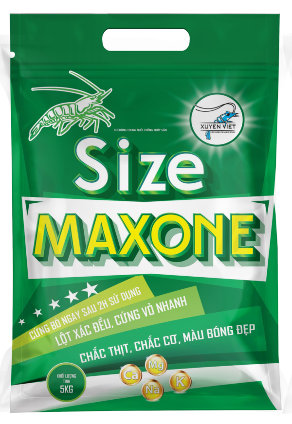 size-maxone